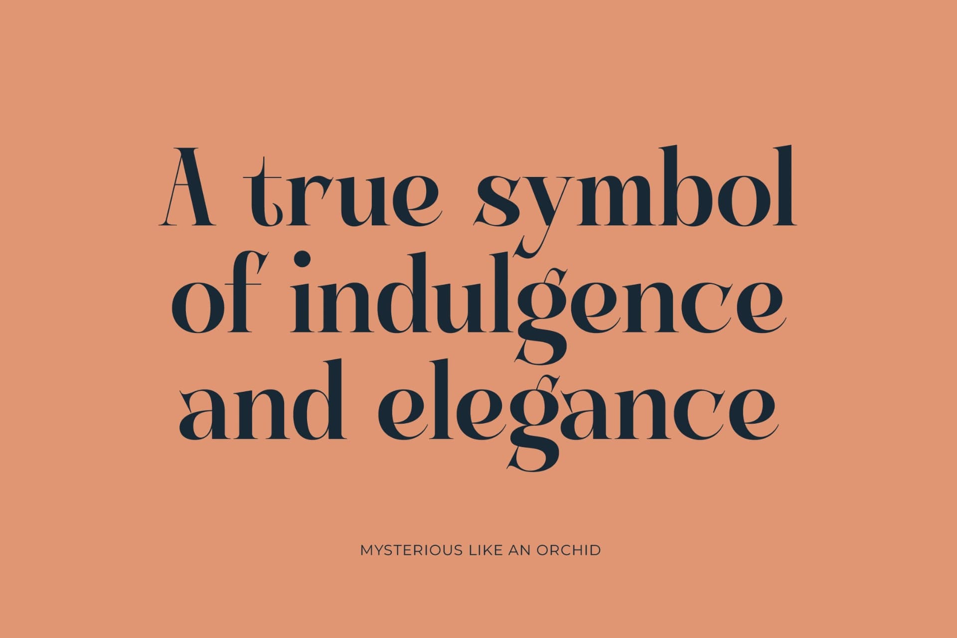 Preview 4 for Keylag Borden - Modern Serif Font