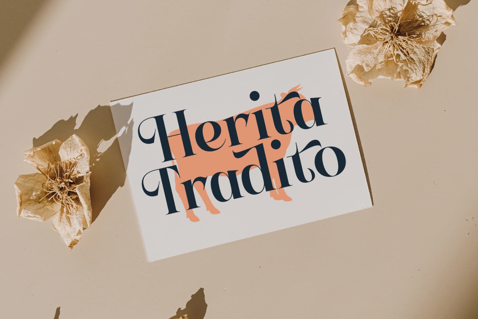 Preview 8 for Keylag Borden - Modern Serif Font