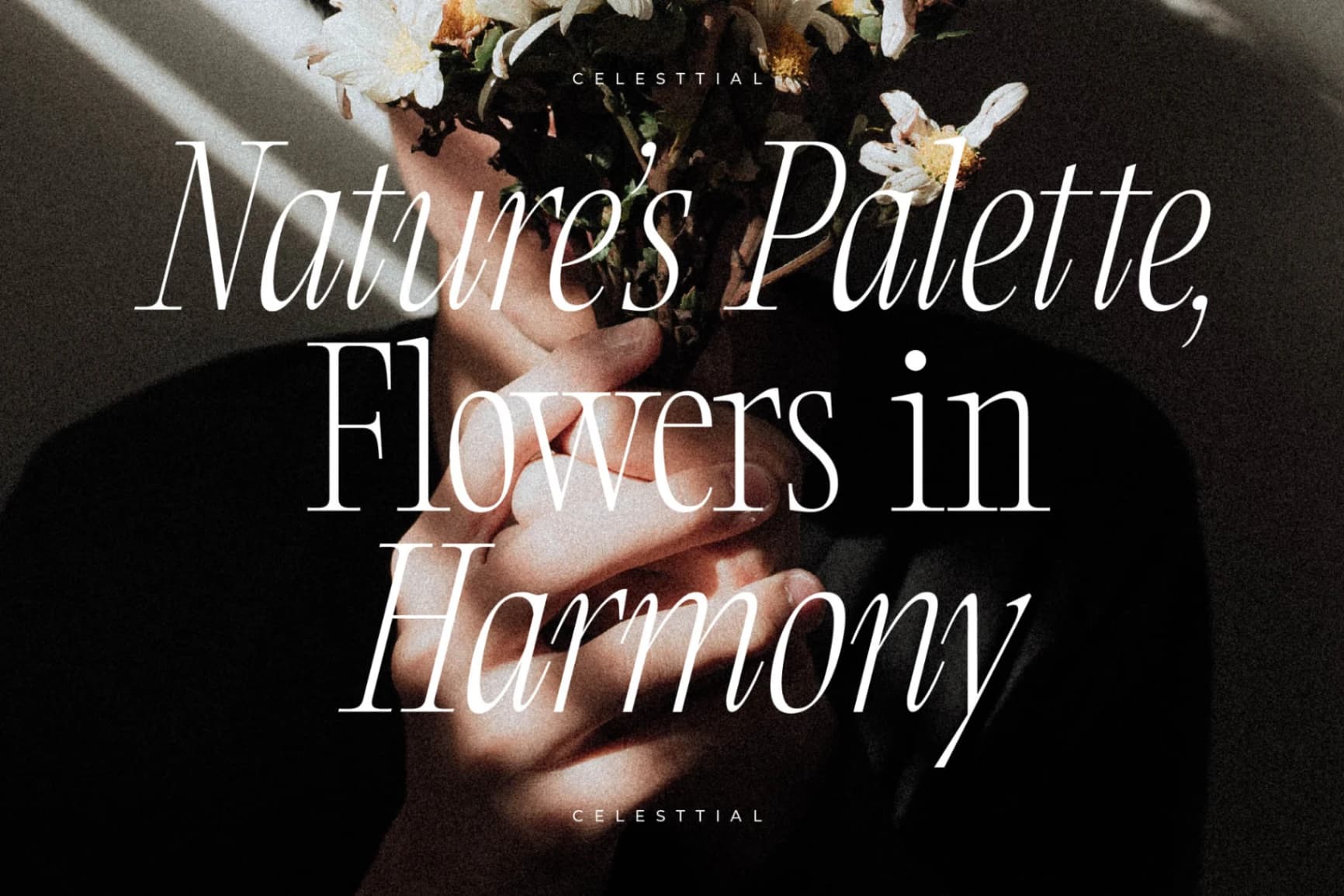 Preview 3 for Clamofte – Modern Stylish Serif