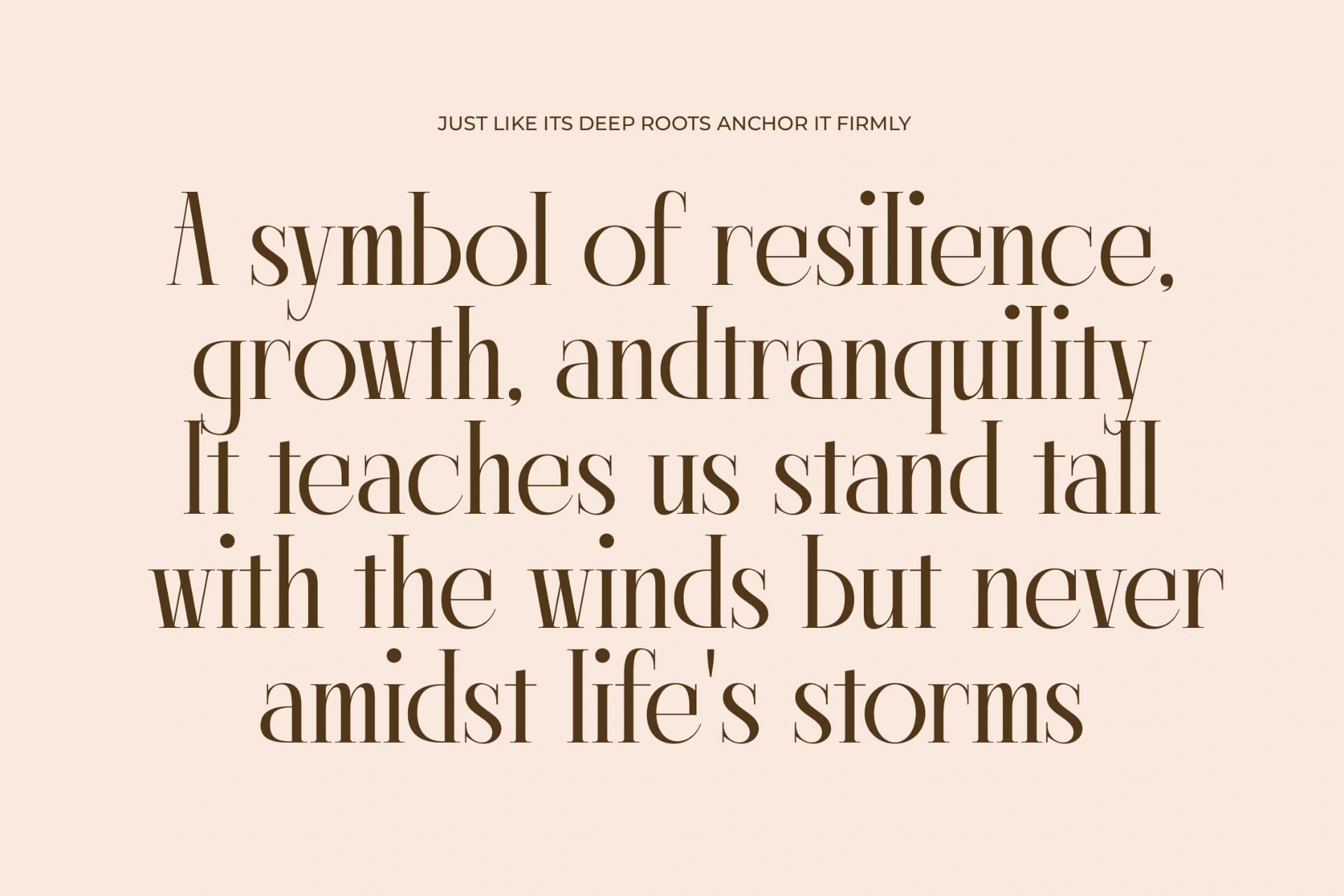 Preview 4 for Lagona - Display Typeface Serif Font