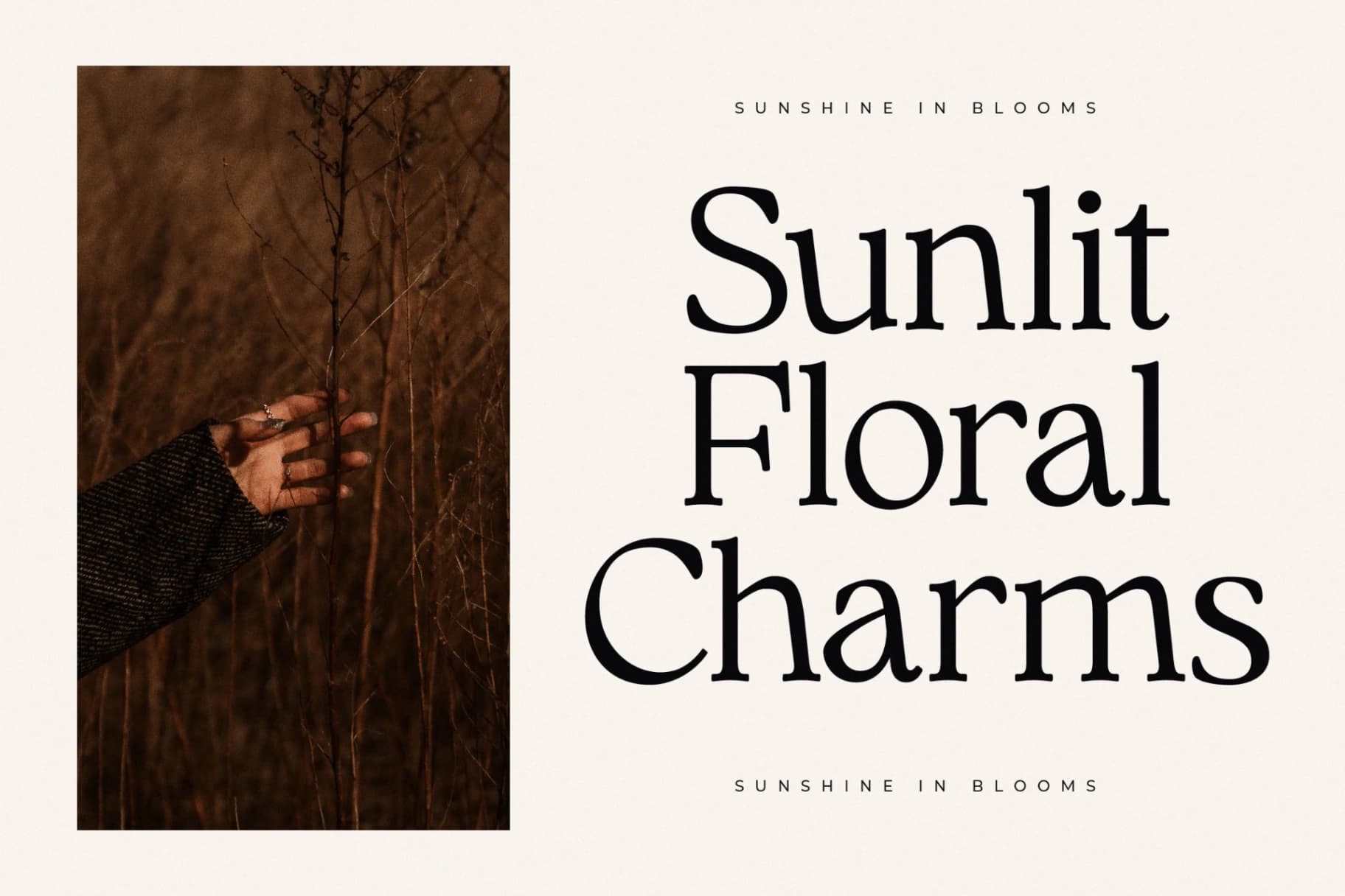 Preview 4 for Qimano – Modern Humanist Serif