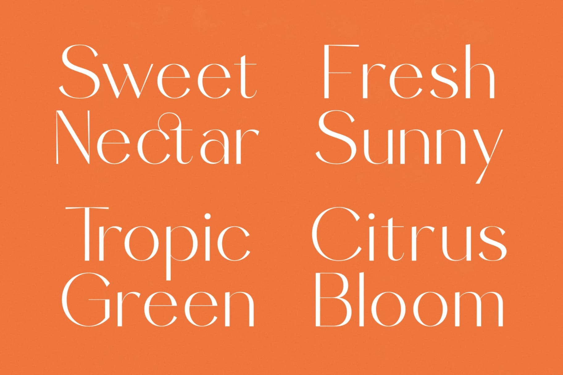 Preview 9 for Sunveil Orange - Modern Display Sans Serif Font