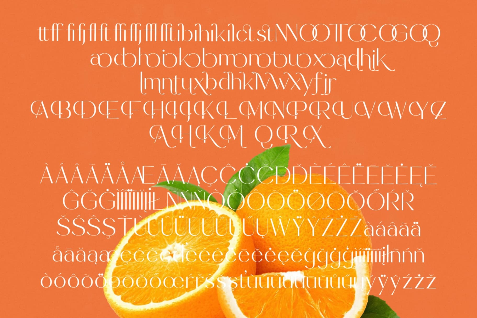 Preview 18 for Sunveil Orange - Modern Display Sans Serif Font