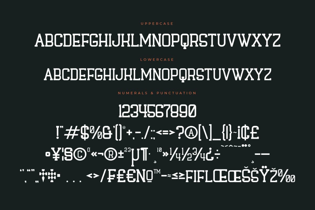 Preview 13 for Hagofen – Display Slab Serif