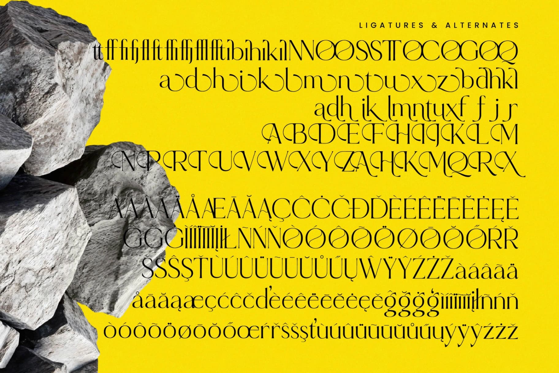 Preview 18 for Qignals - Modern Serif Font