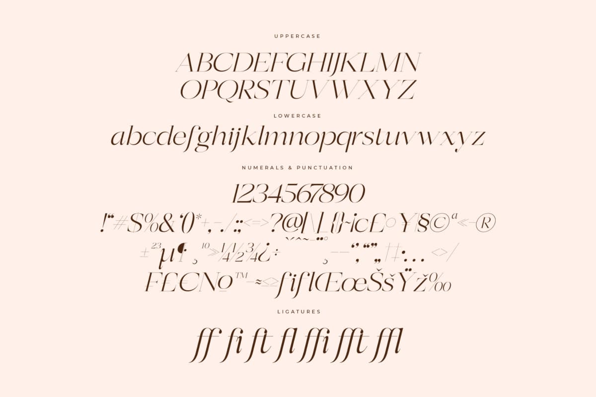 Berloja Satfline – Modern Serif Font font preview 14