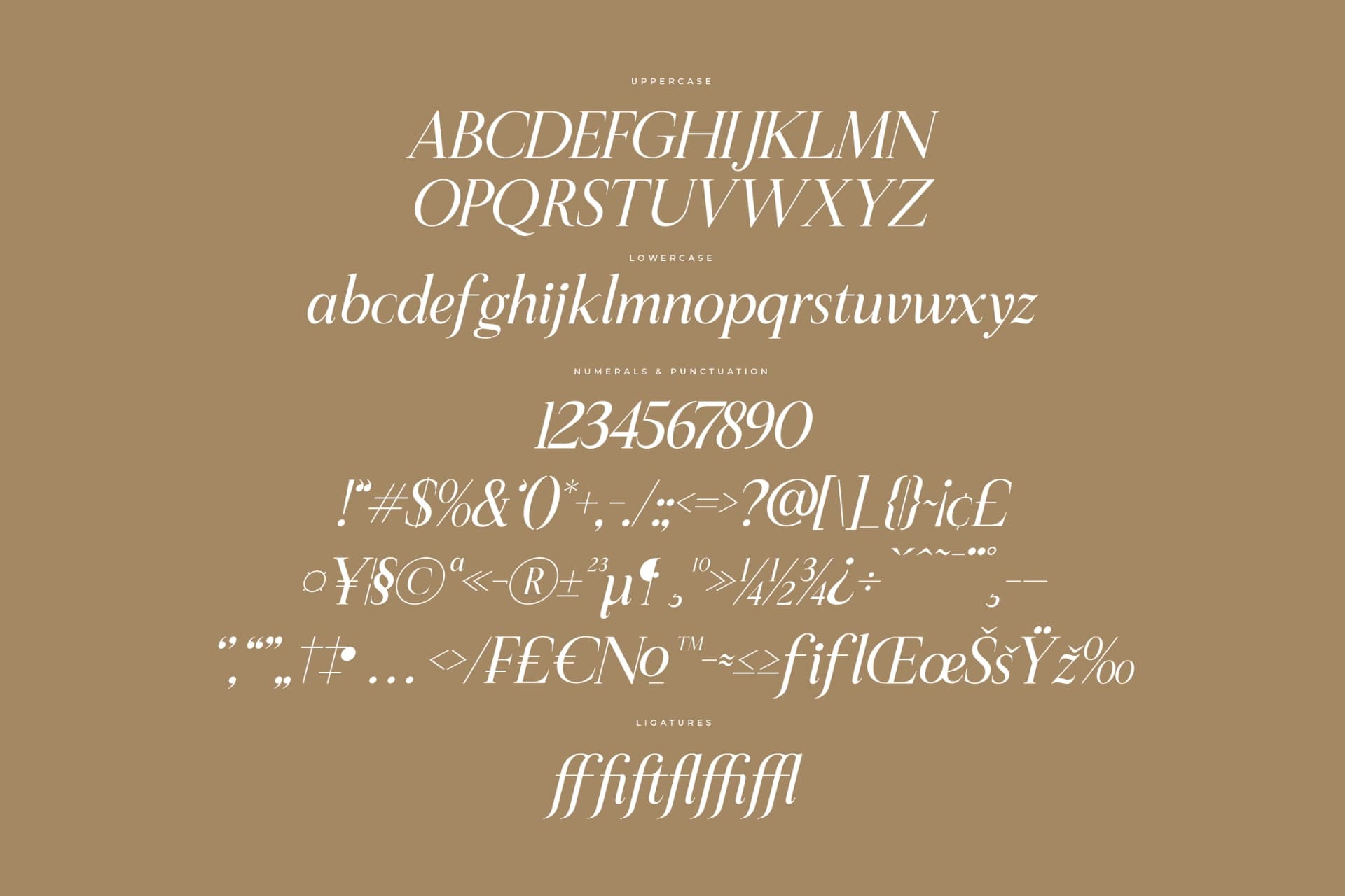 Preview 14 for Sheftira - Modern Serif Font
