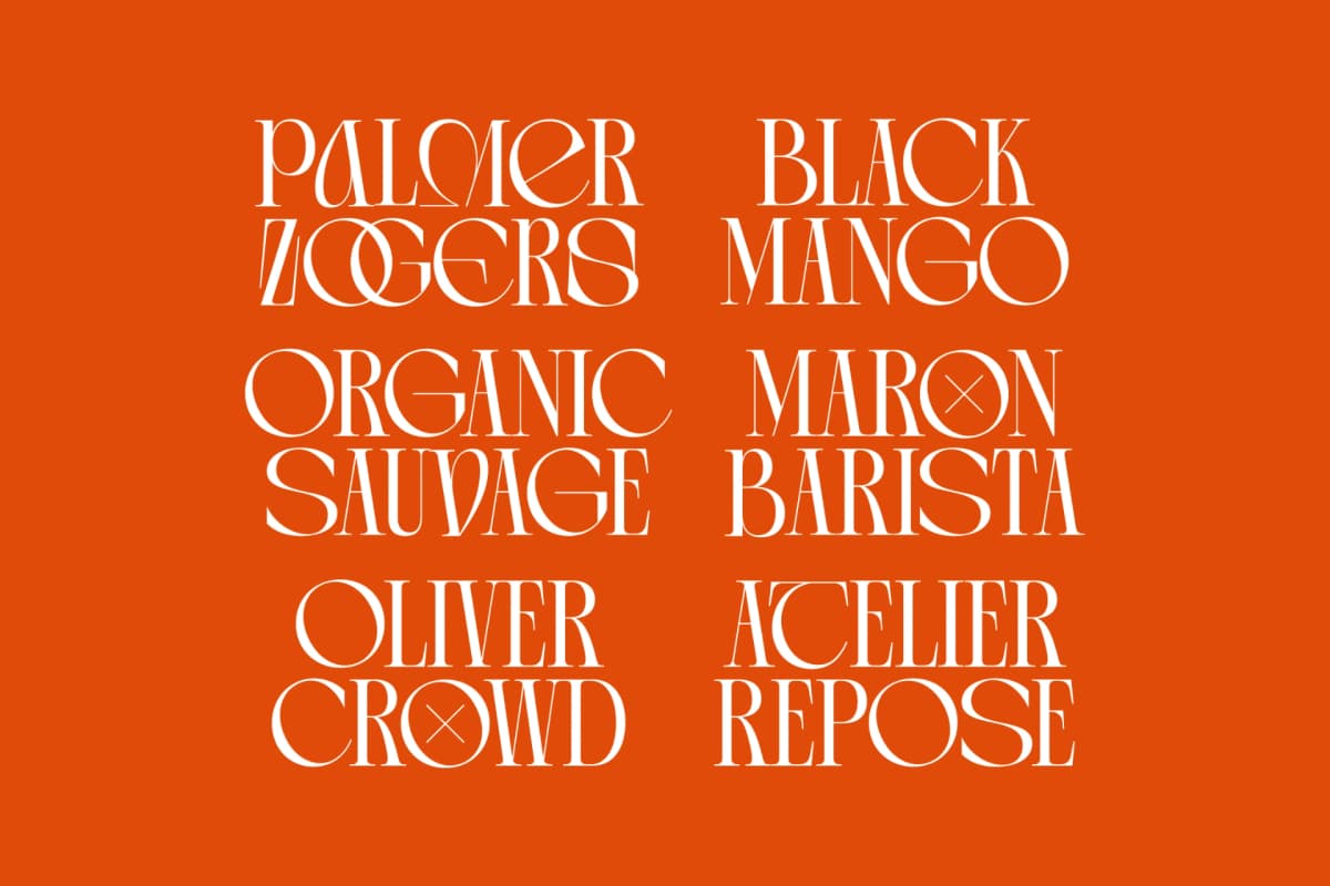 Arganica Brannds - Stylish Display Serif Font font preview 3