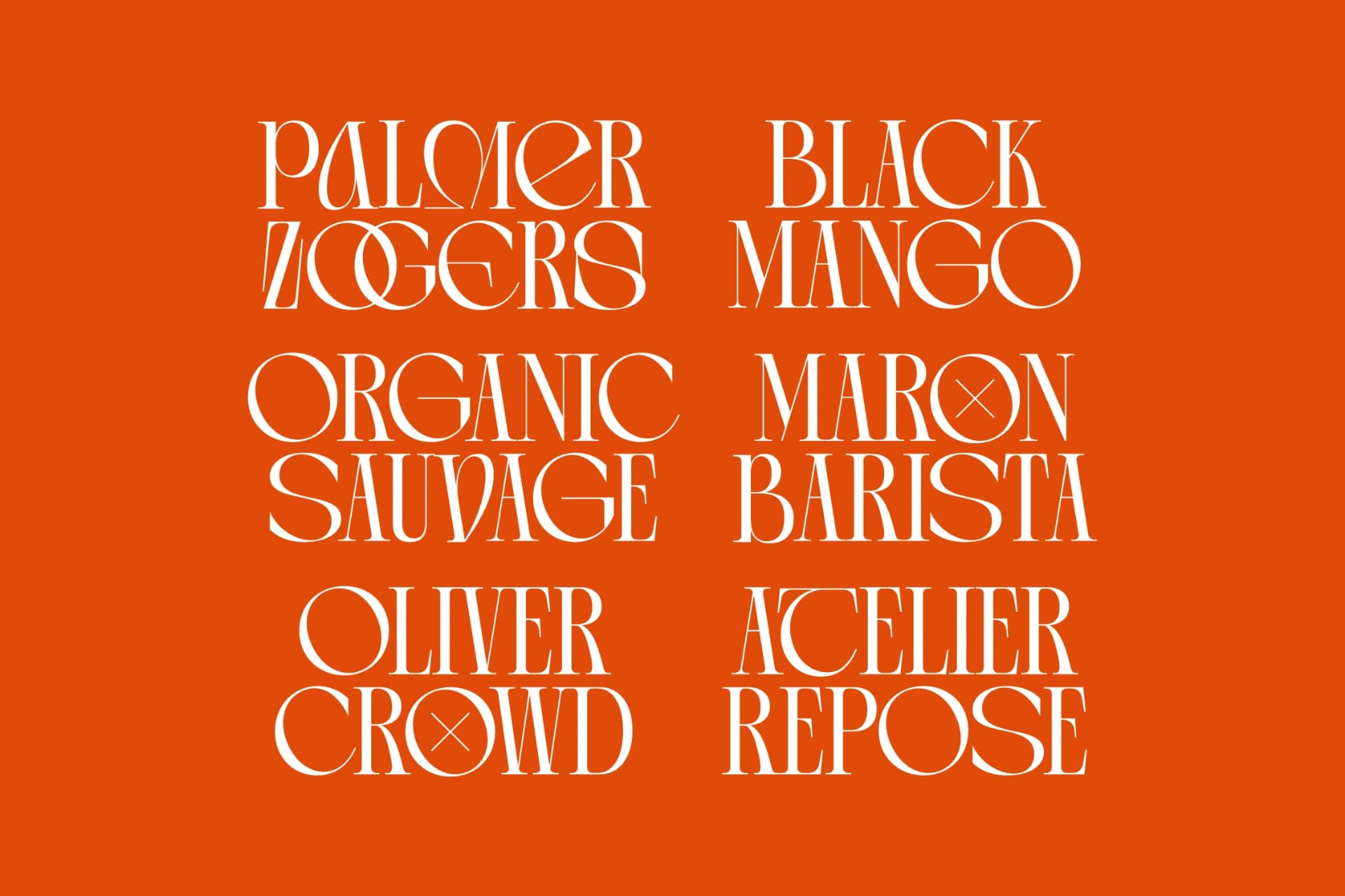 Preview 3 for Arganica Brannds - Stylish Display Serif Font