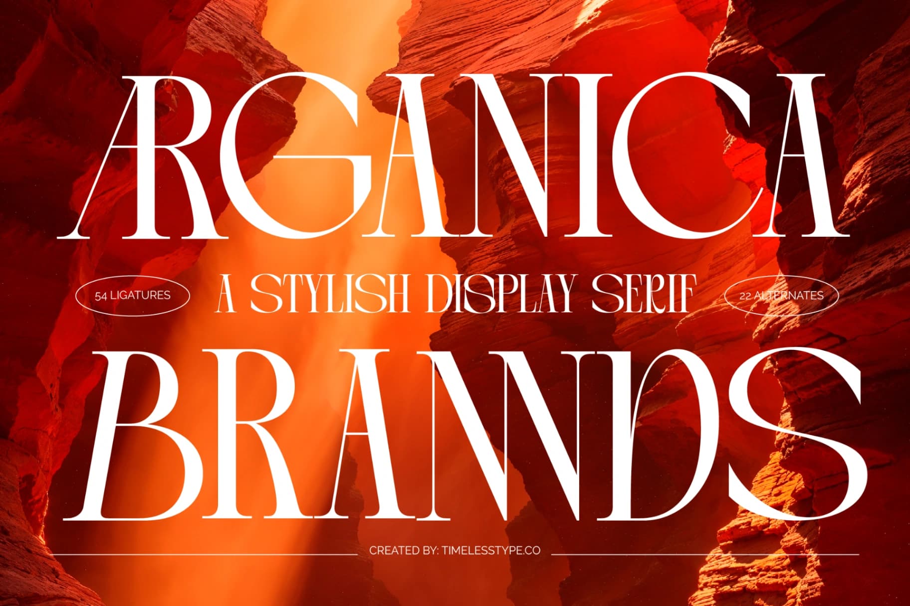 Preview 1 for Arganica Brannds - Stylish Display Serif Font