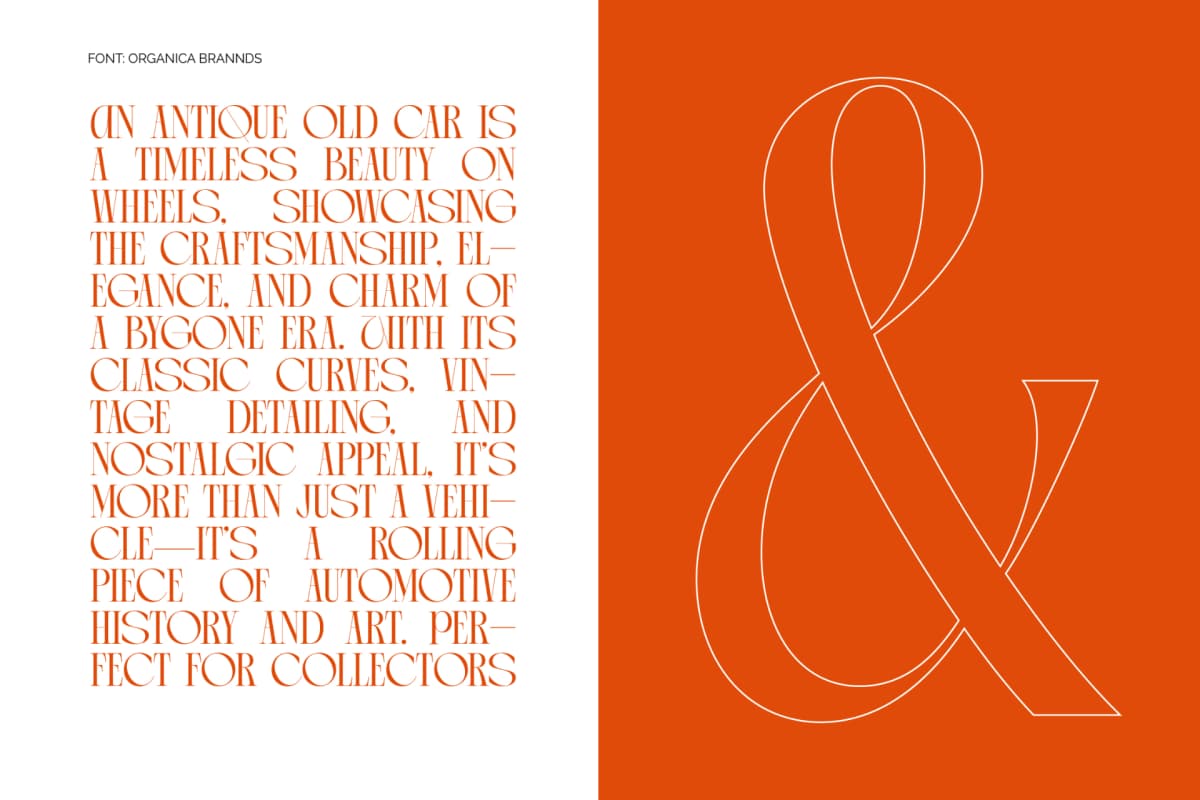 Arganica Brannds - Stylish Display Serif Font font preview 4
