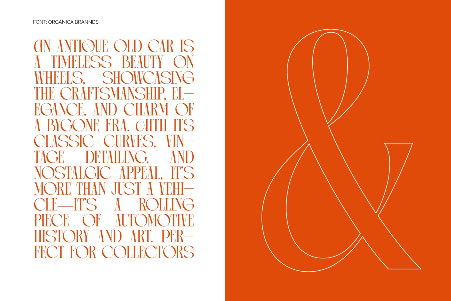 Preview 4 for Arganica Brannds - Stylish Display Serif Font
