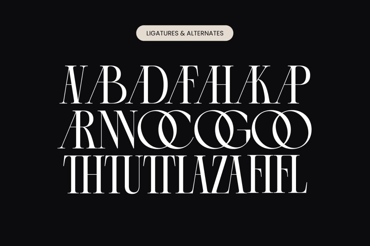 Arganica Brannds - Stylish Display Serif Font font preview 18