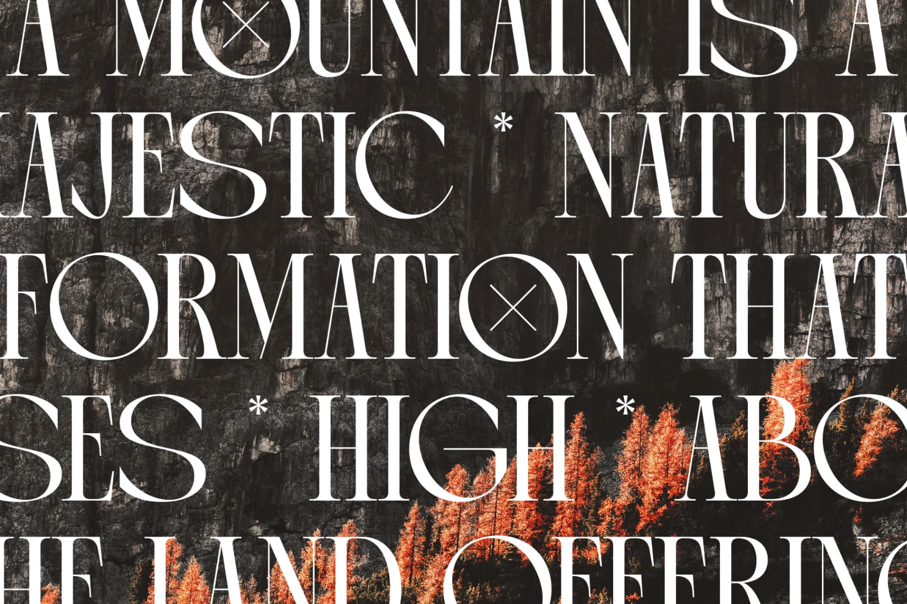 Preview 8 for Arganica Brannds - Stylish Display Serif Font