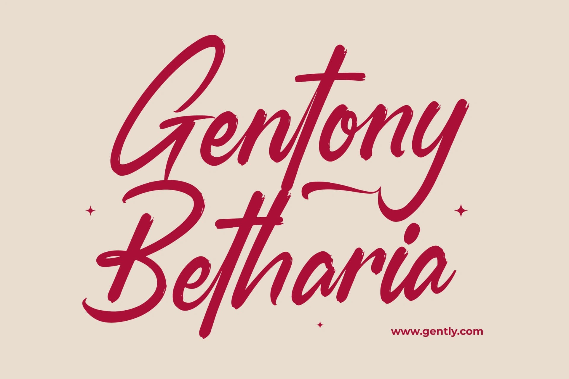 Preview 3 for Smoothy Routines - Modern Brush Font