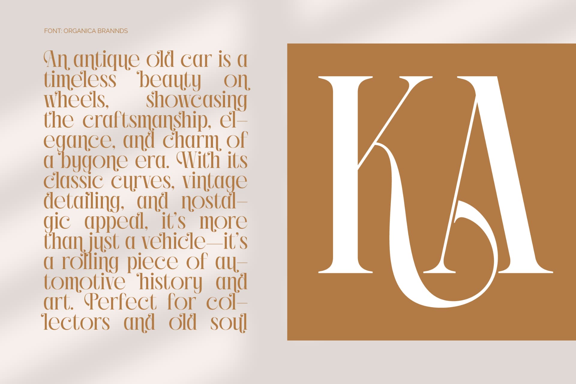 Preview 9 for Rich Dashy - Modern Elegant Serif Font