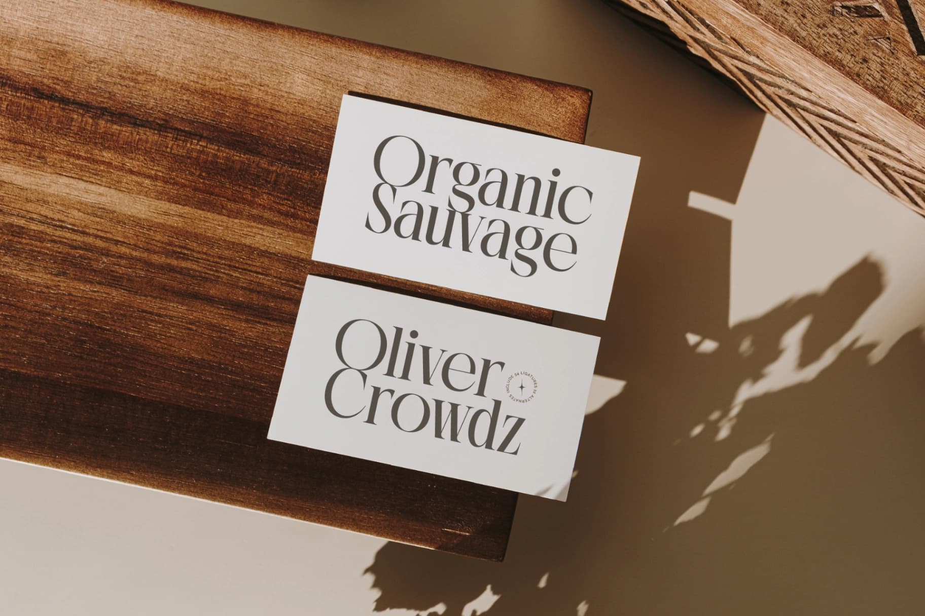 Preview 8 for Rich Dashy - Modern Elegant Serif Font
