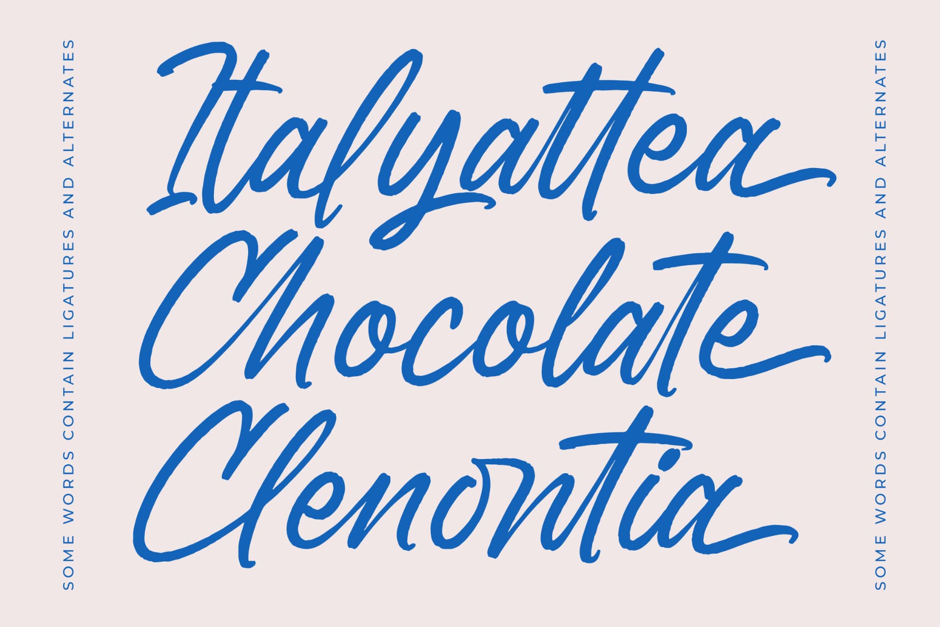 Preview 11 for Bostony Kintens – Bold Brush Font