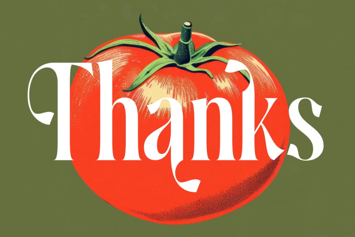 Ketchup Vintage - Modern Serif Font font preview 20