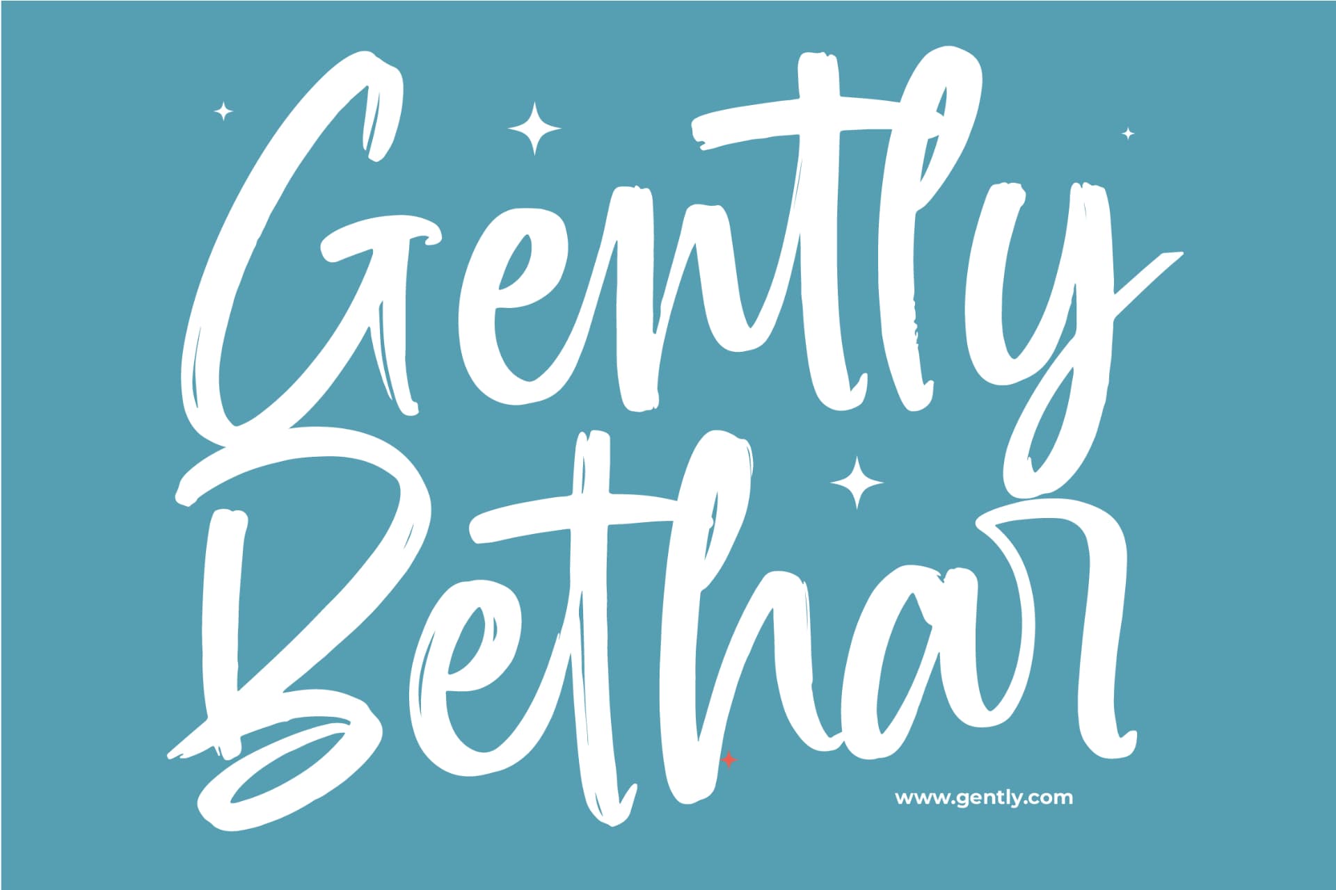 Preview 9 for Spenty Brother – Modern Brush Font