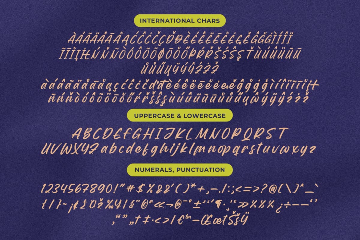 Theglory Skemaro - Bold Handwritten Font font preview 18