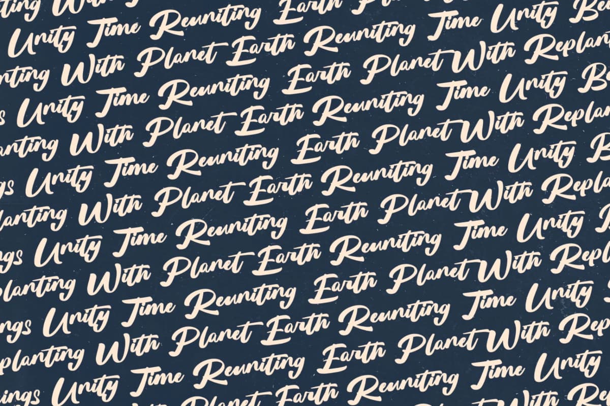 Replant United - Bold Calligraphy Font font preview 17