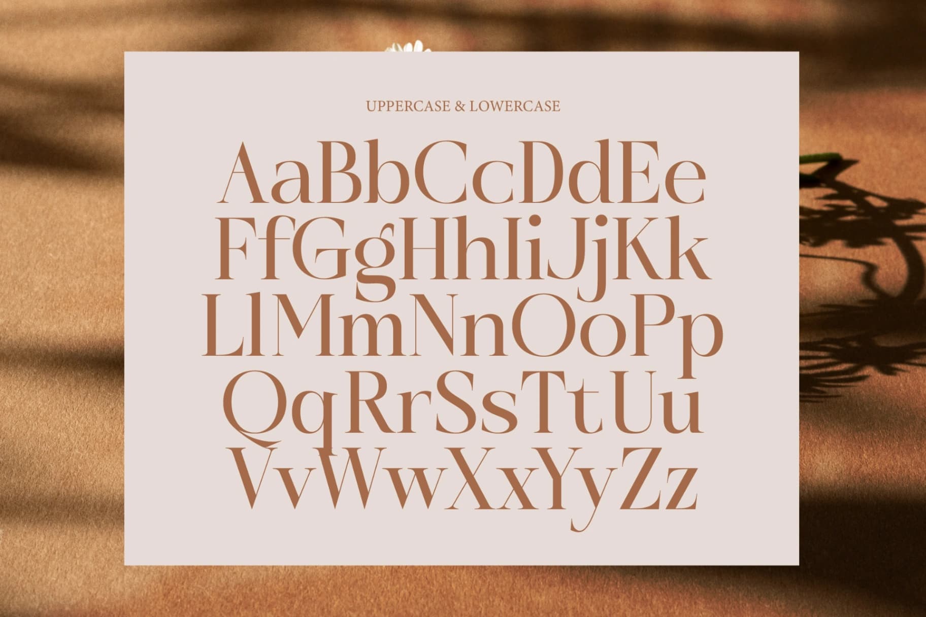 Preview 8 for Rosse Merona - Modern Ligature Serif Font