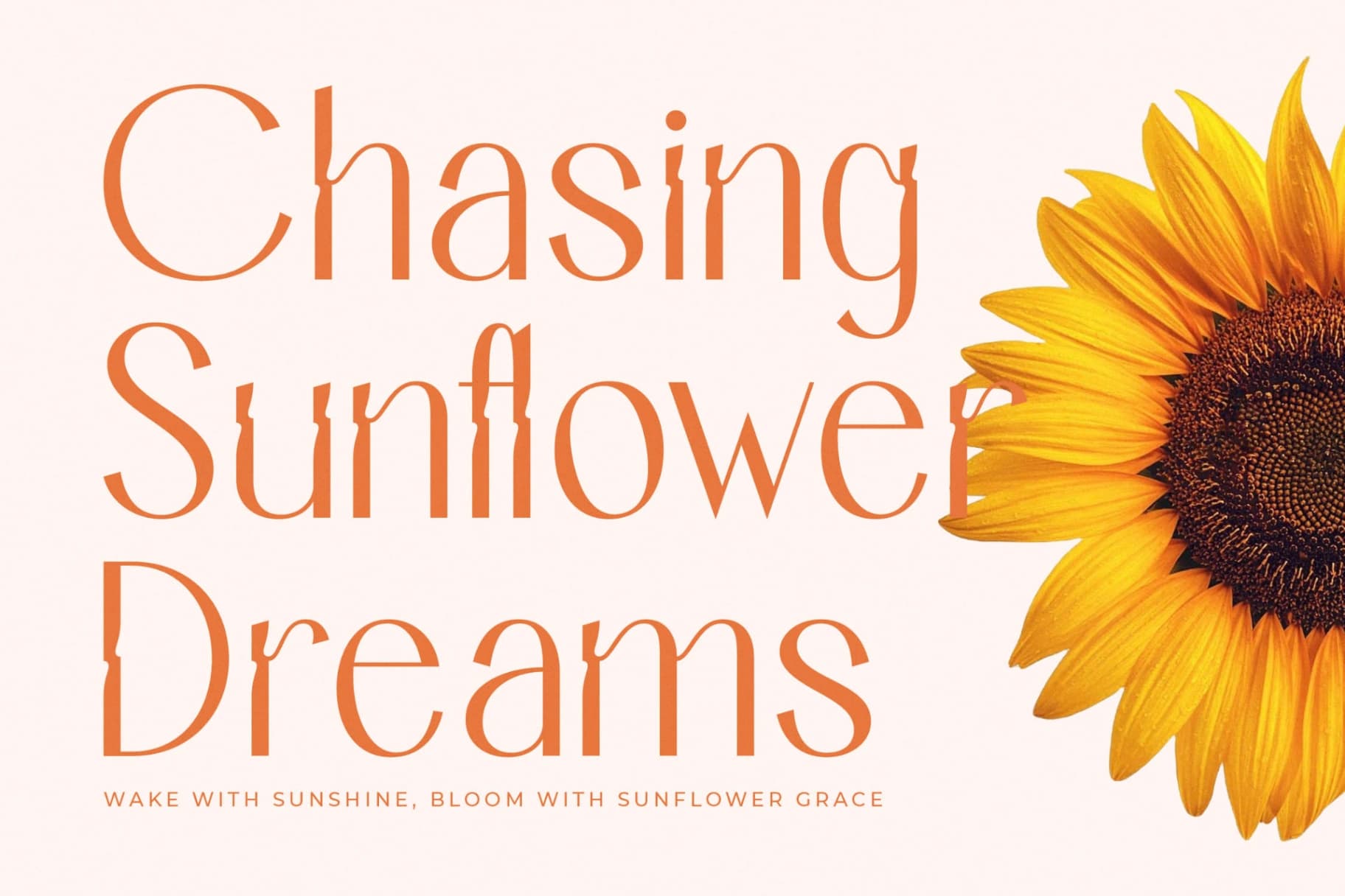 Preview 11 for Bemgola - Modern Display Font