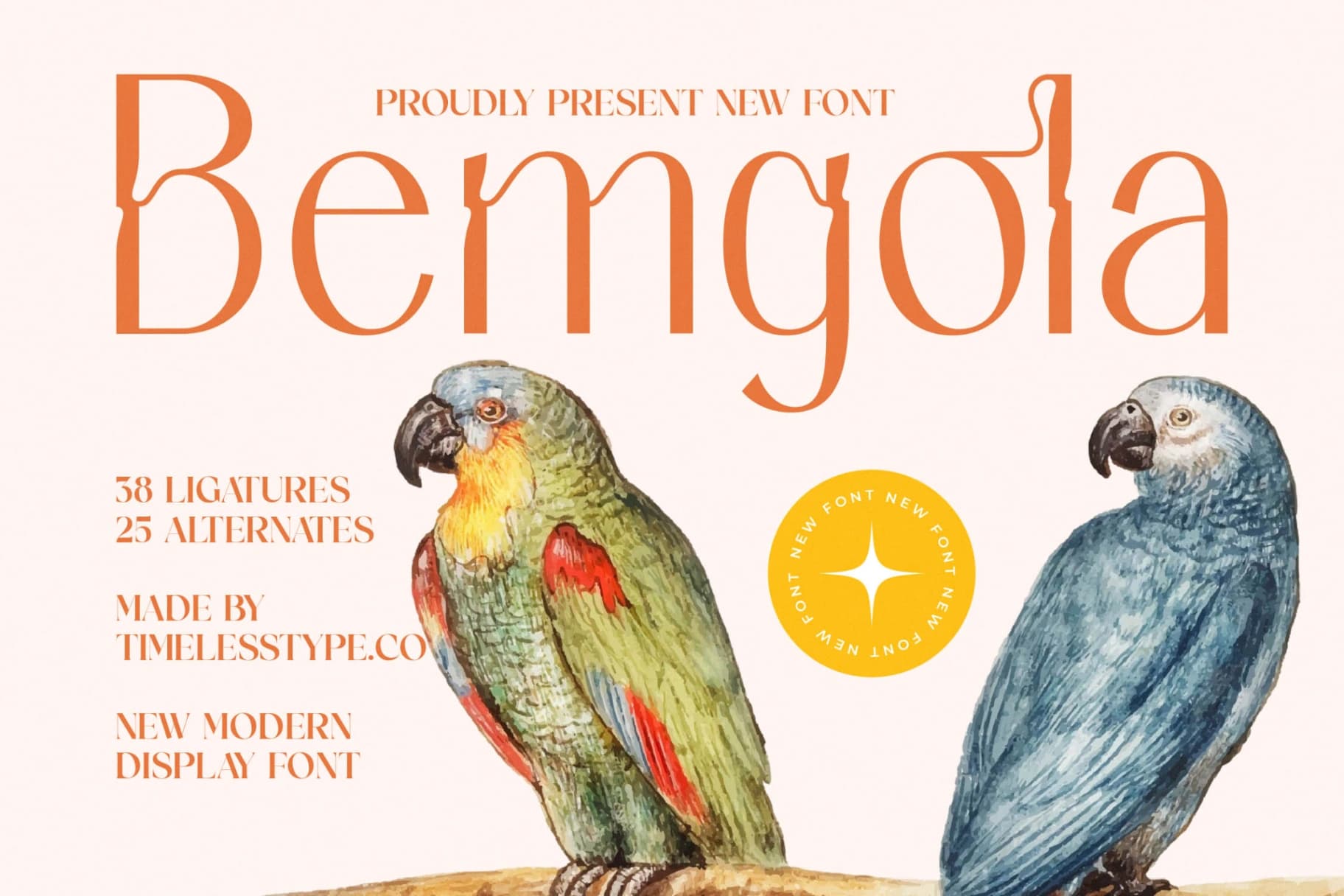 Preview of Bemgola - Modern Display Font font