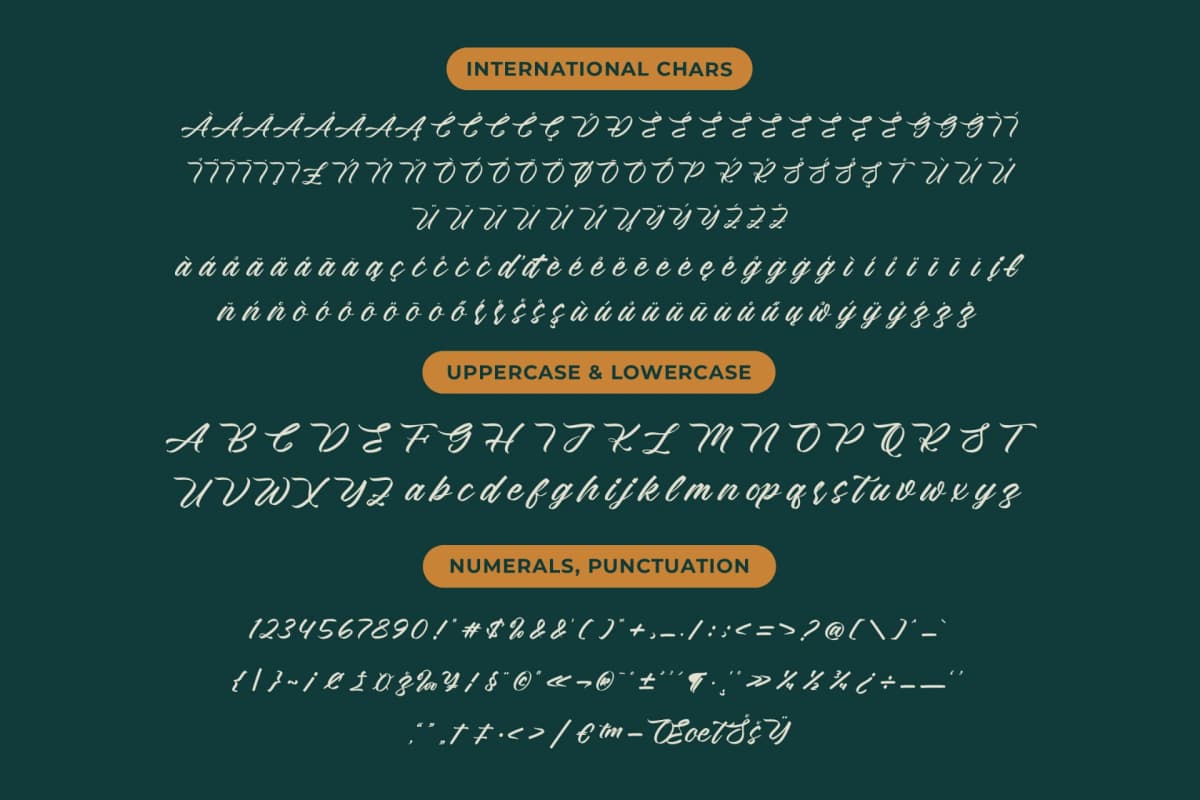Rustical Banley – Modern Script Font font preview 18