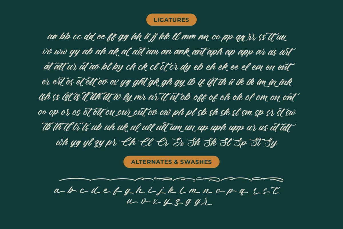 Rustical Banley – Modern Script Font font preview 19