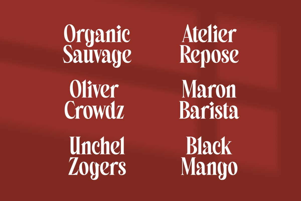 Preview 7 for Belagu - Modern Display Serif Font