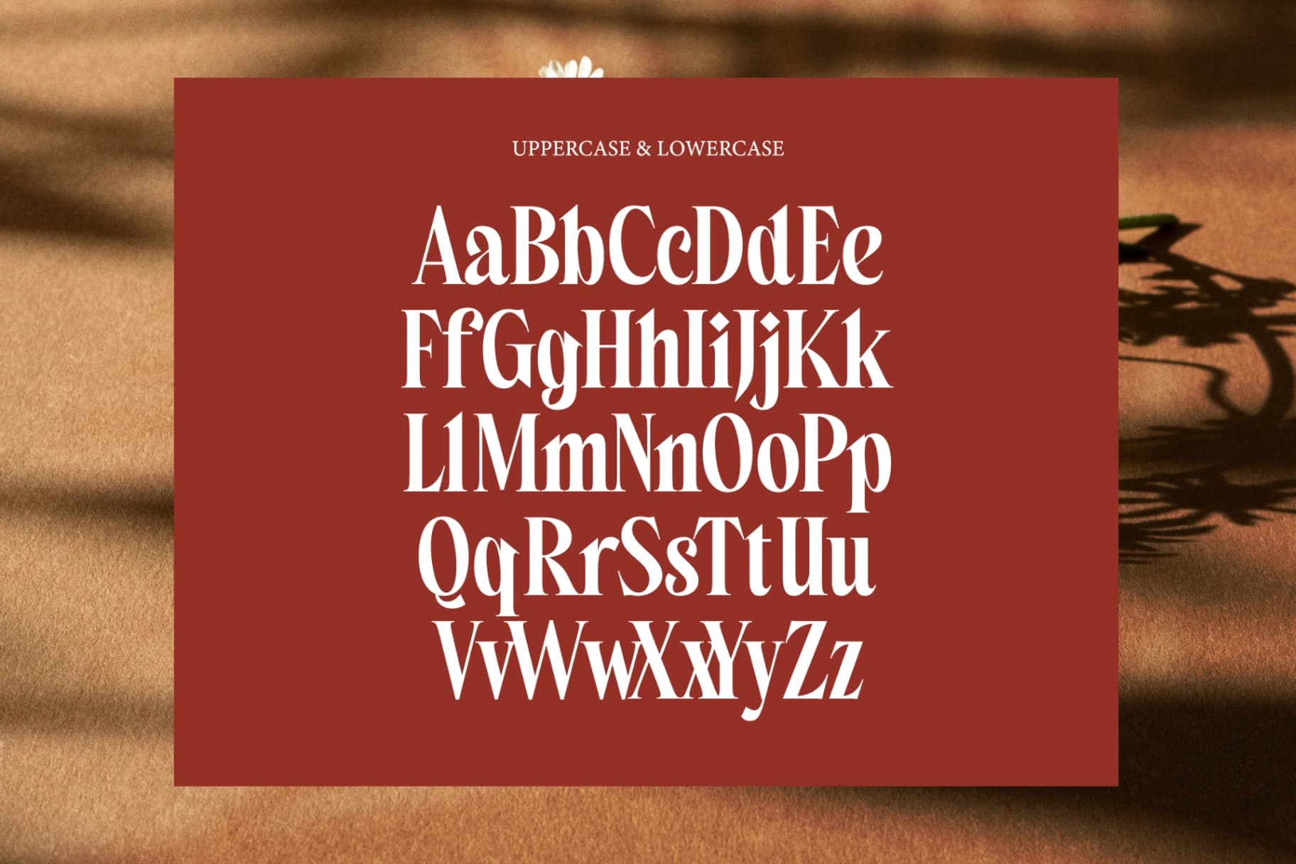 Preview 12 for Belagu - Modern Display Serif Font