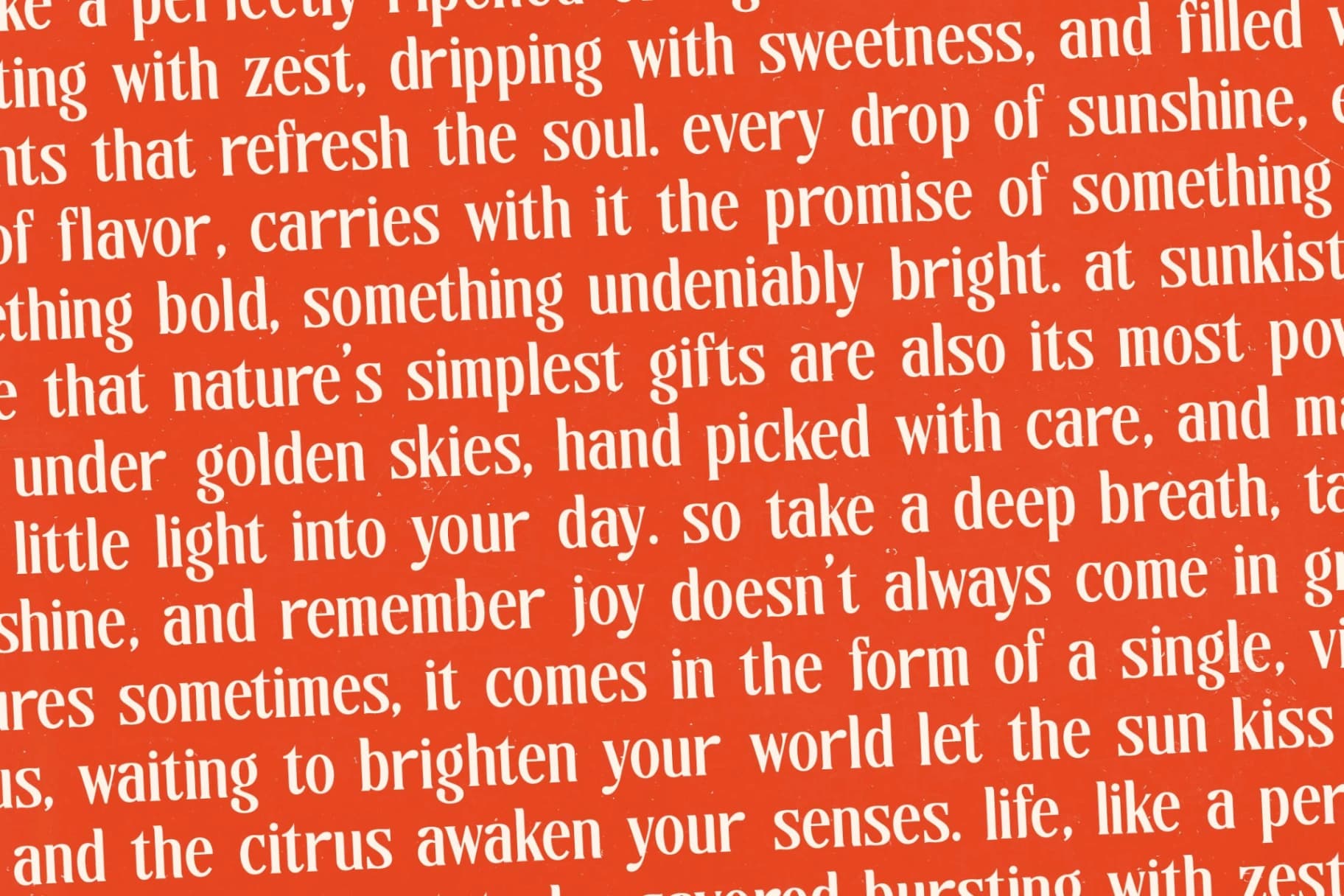 Preview 12 for Sunkis Display - Groovy Serif Display Font