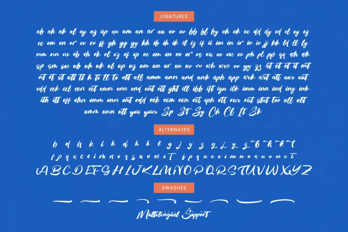 Preview 19 for Sketch Checkin - Modern Brush Font