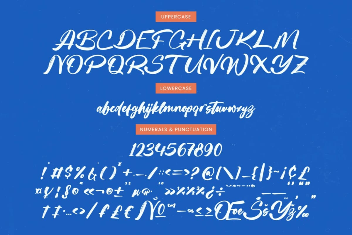 Preview 18 for Sketch Checkin - Modern Brush Font