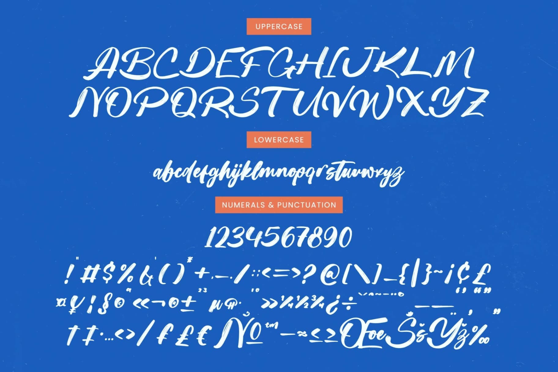 Preview 18 for Sketch Checkin - Modern Brush Font