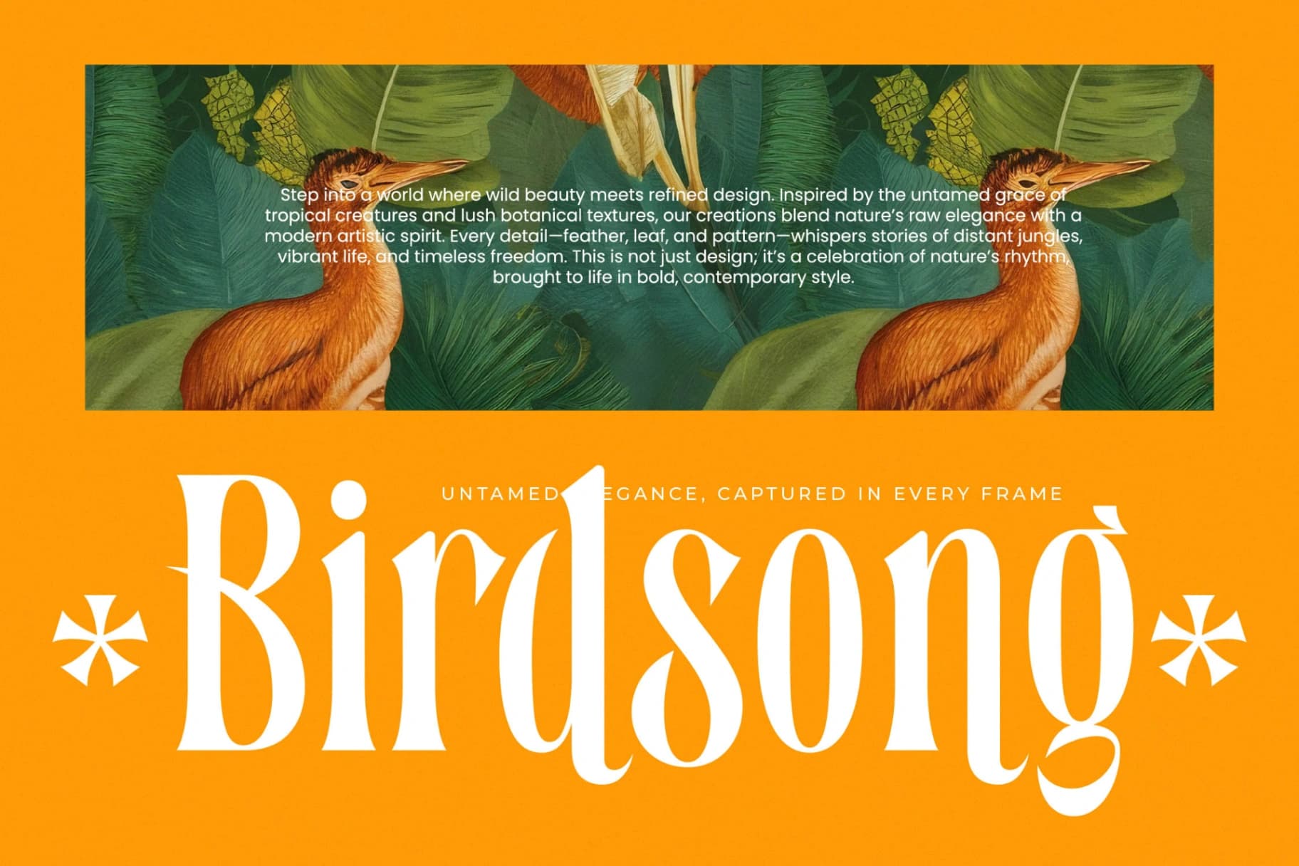 Preview 8 for Bastfeng Skylight - Modern Display Serif Font