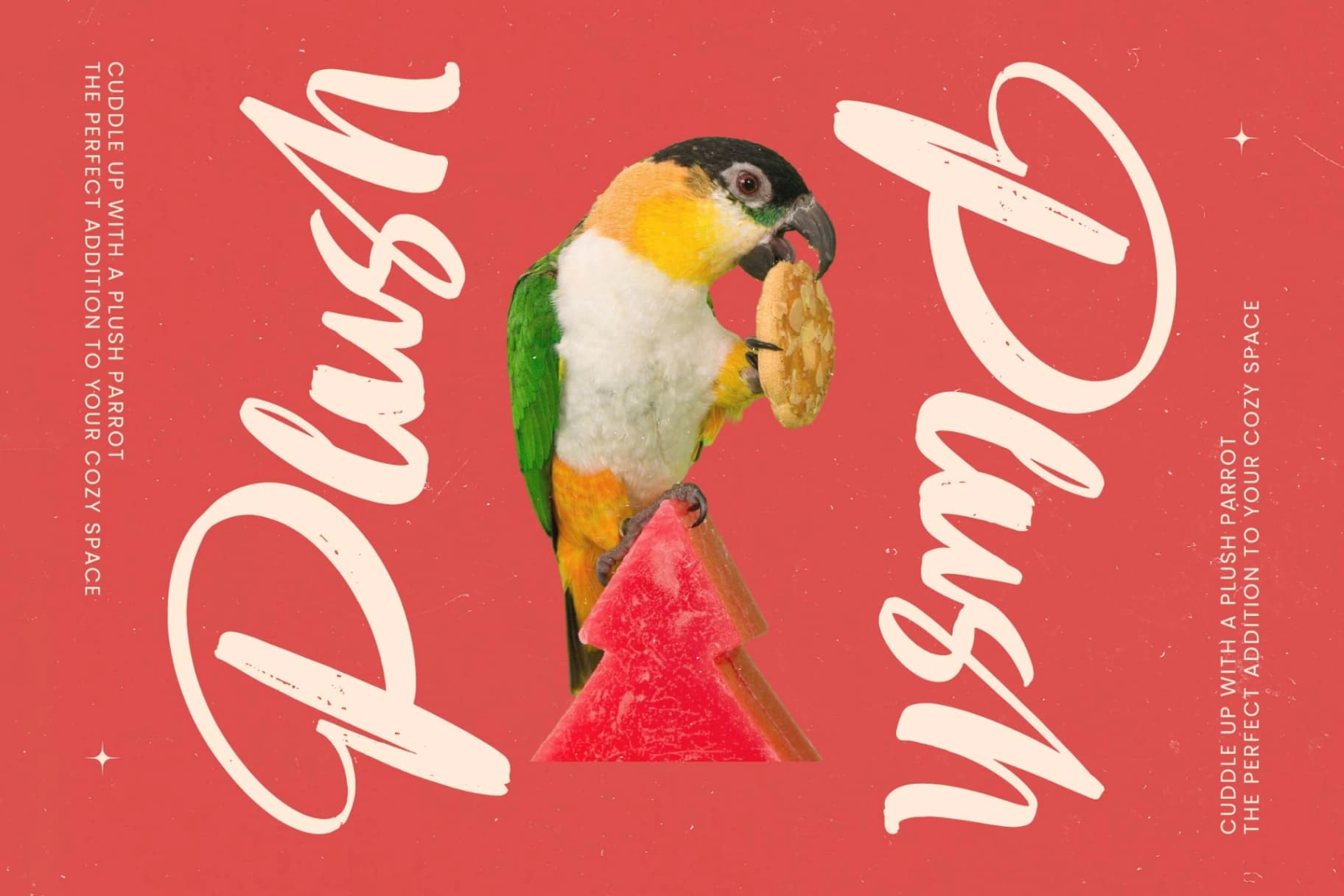 Preview 9 for Huntail Peach - Bold Brush Font