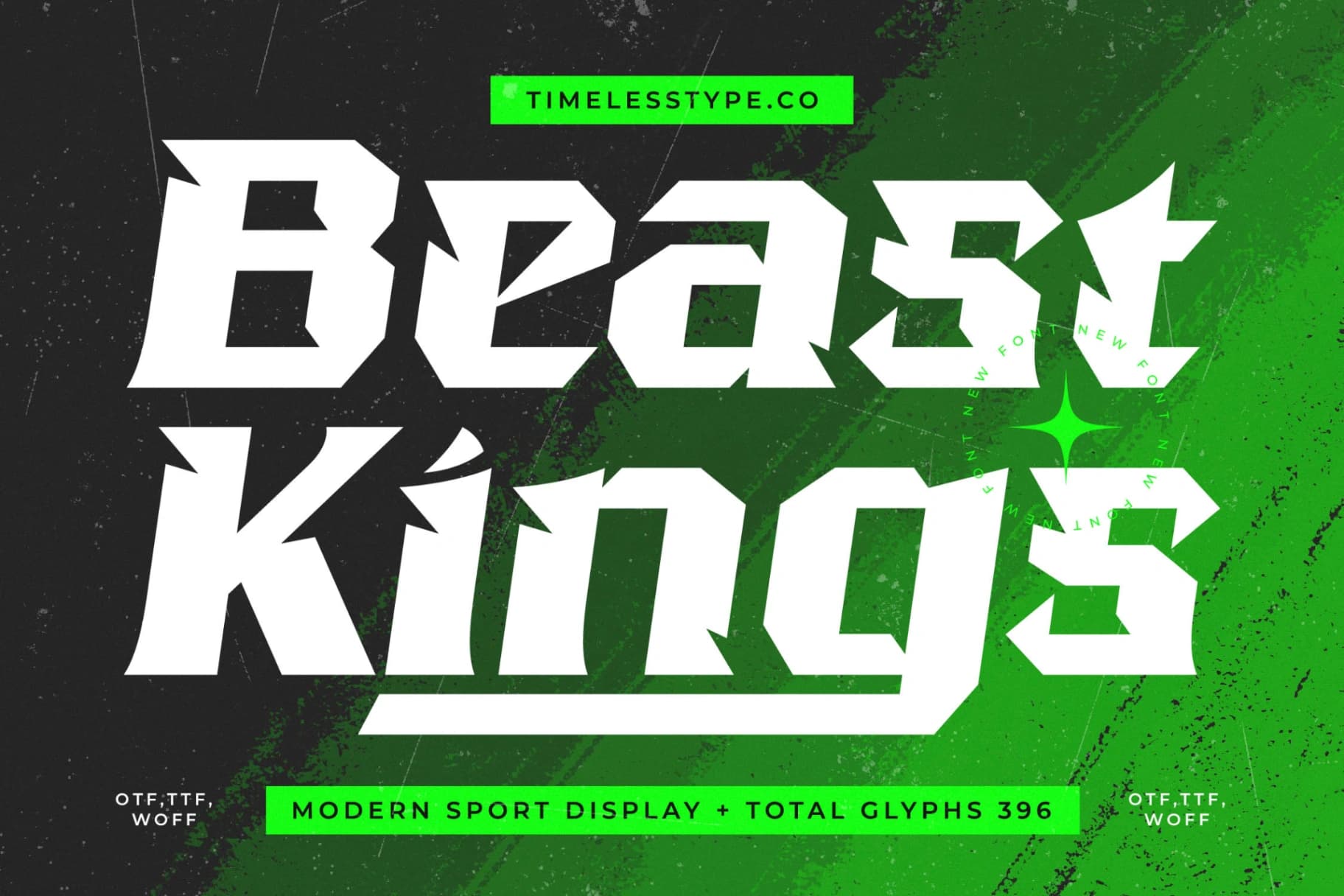 Preview of Beast Kings - Modern Sport Display font
