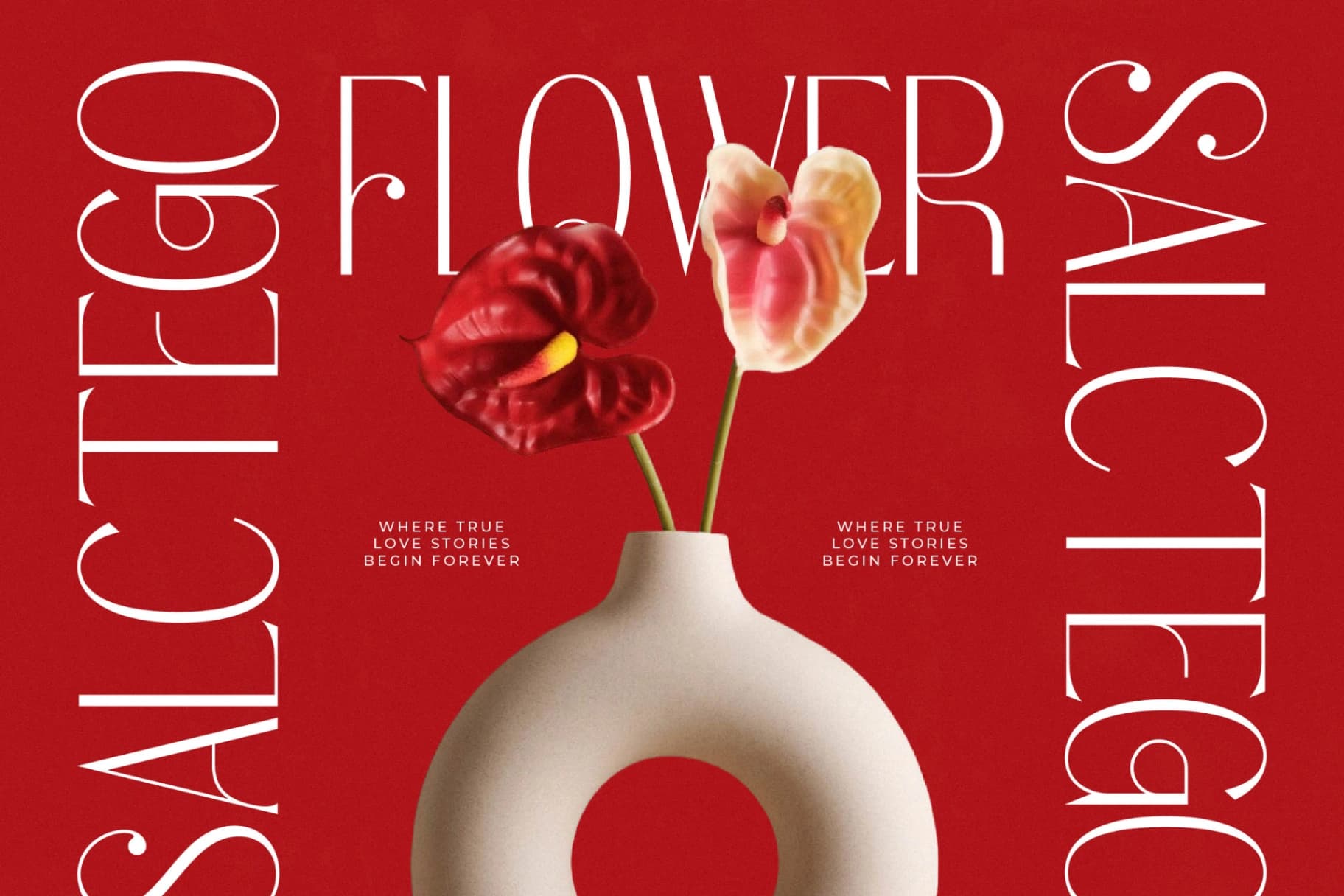 Preview 3 for Salctego - Modern Sans Serif Font