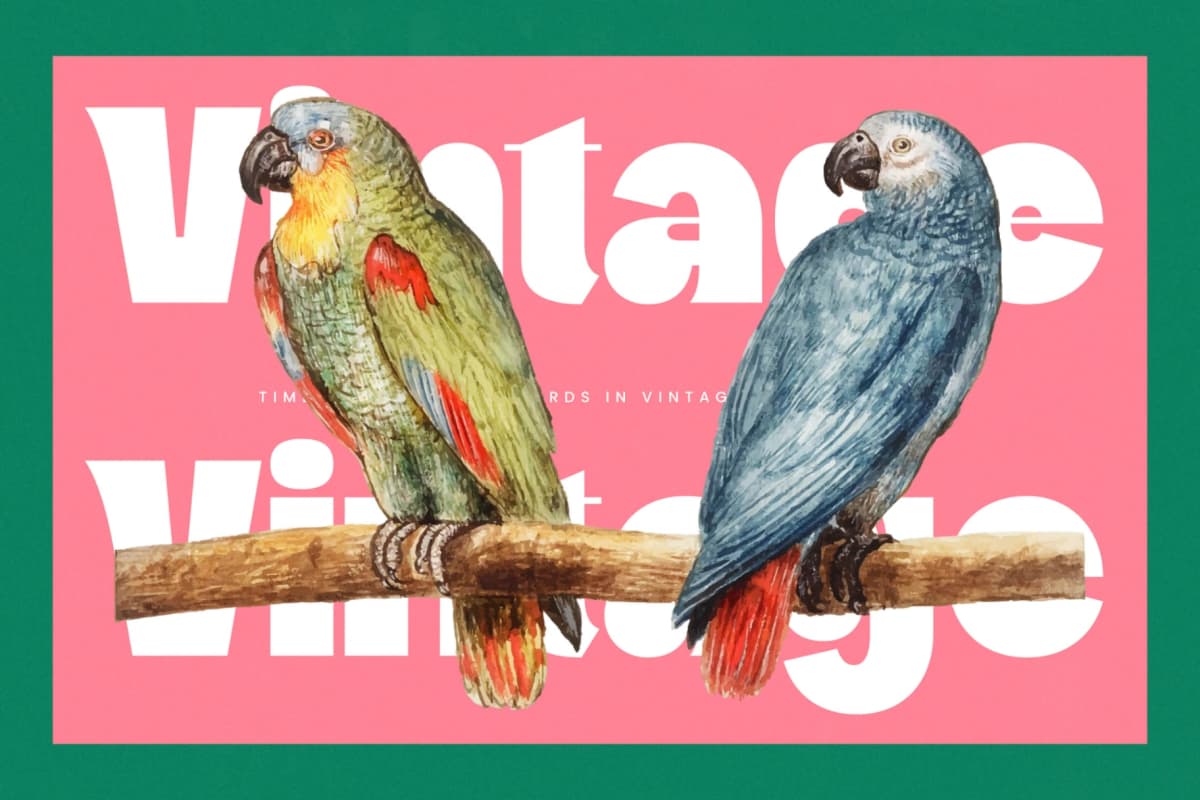 Pearl Mirage - Modern Display Font font preview 6