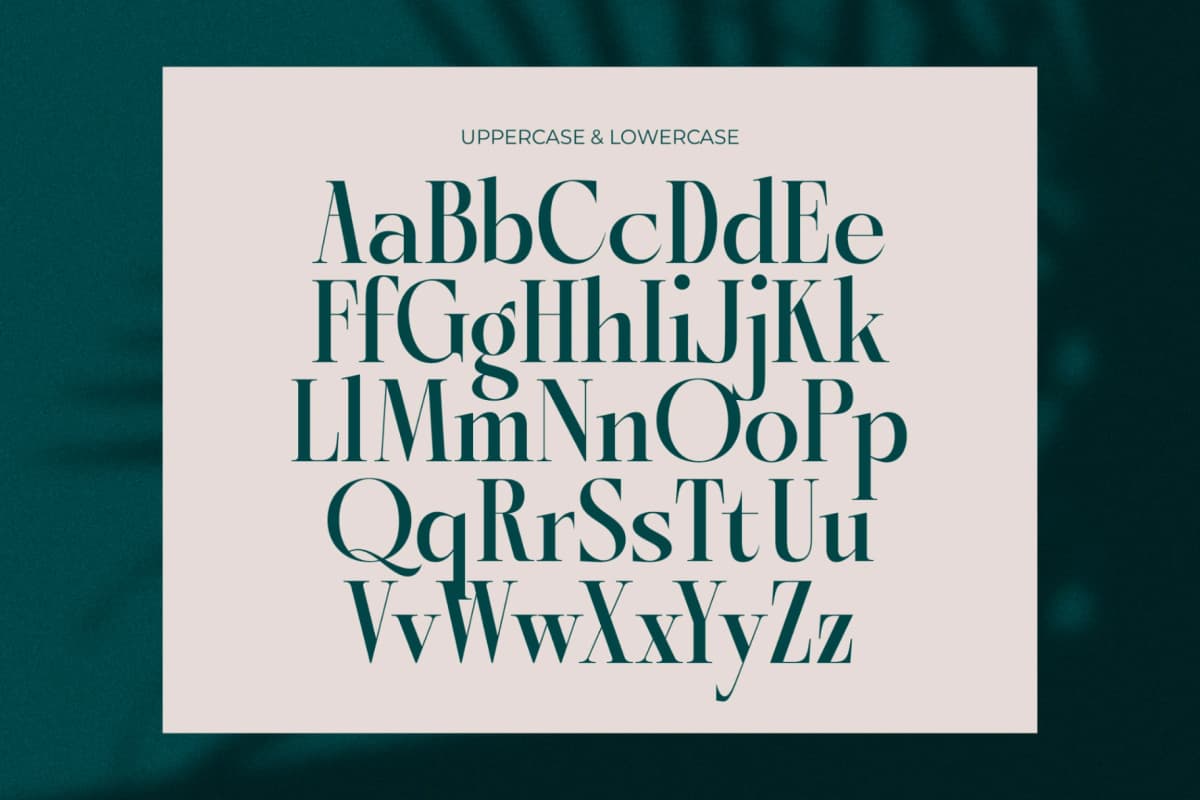 Kozan - Elegant Serif Typeface Font font preview 15