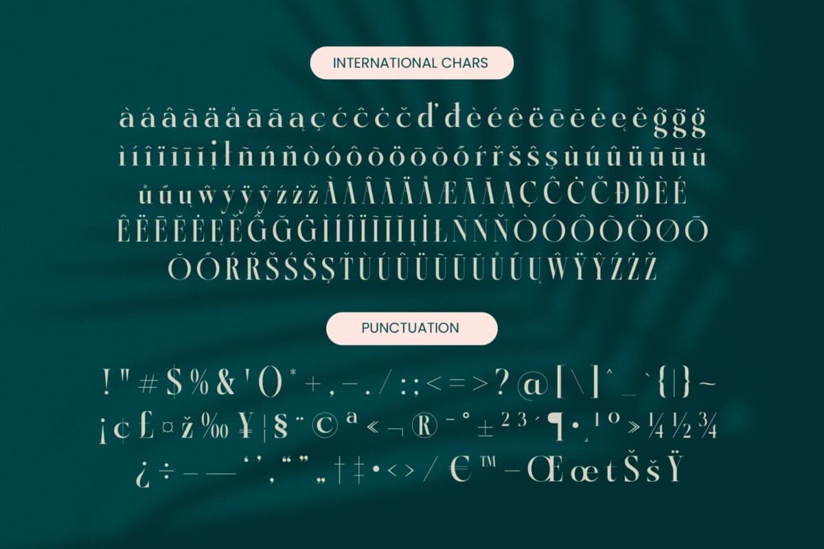 Kozan - Elegant Serif Typeface Font font preview 19