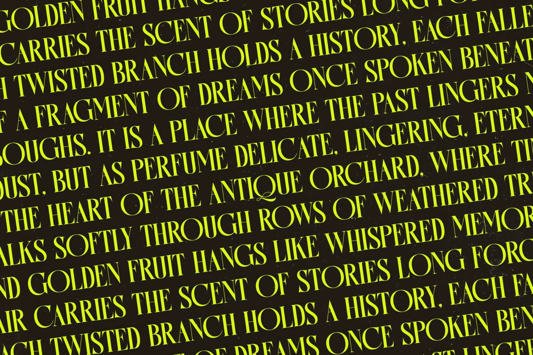 Preview 13 for Antique Orchad - Hybrid Serif Font