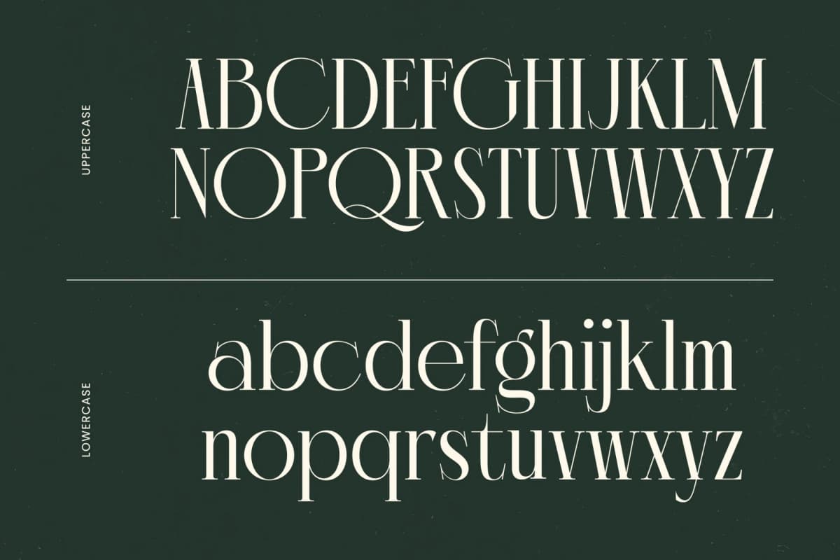 Chazero - Modern Alternate Serif Font font preview 9