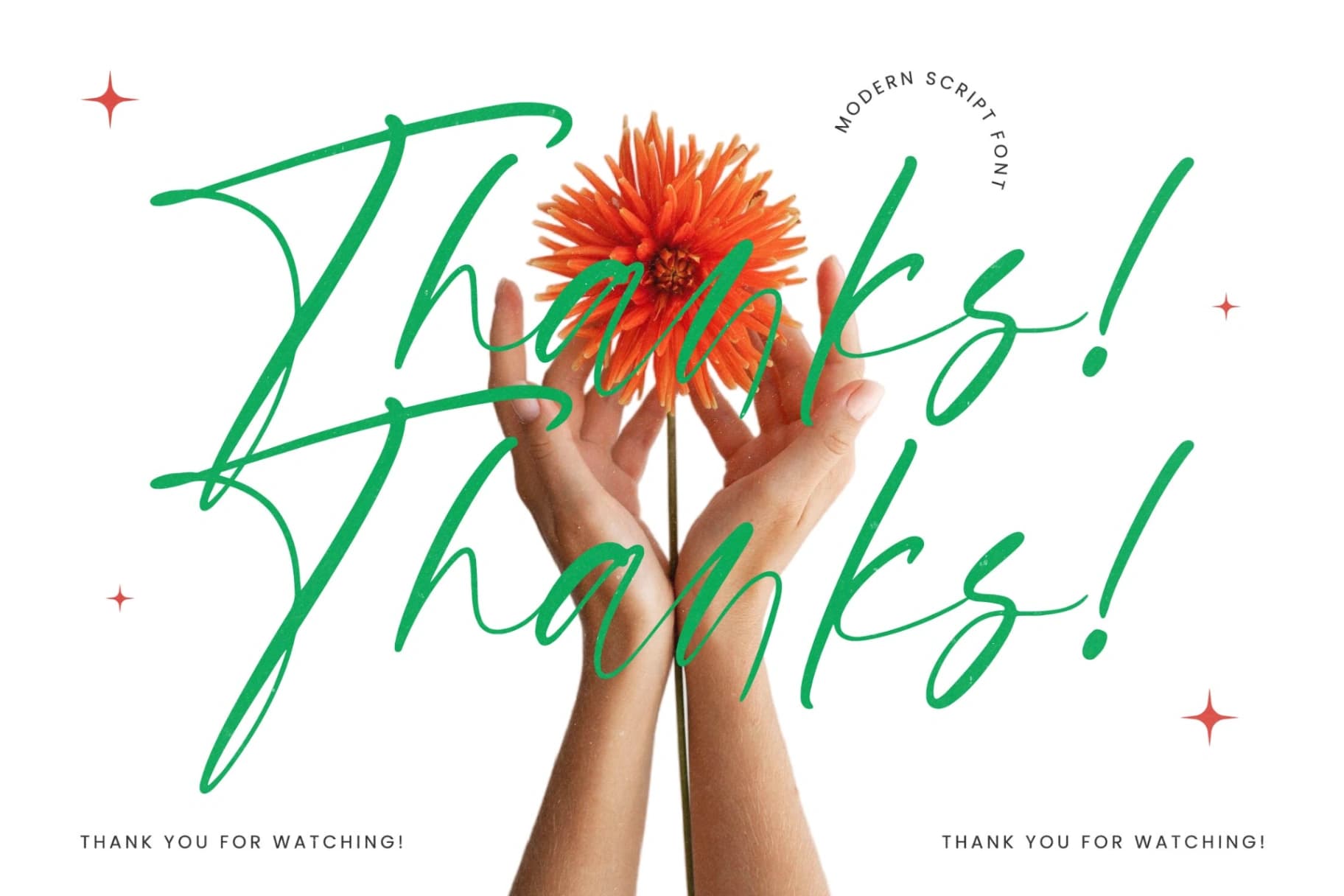 Preview 15 for Petalik Glisten – Modern Script Font