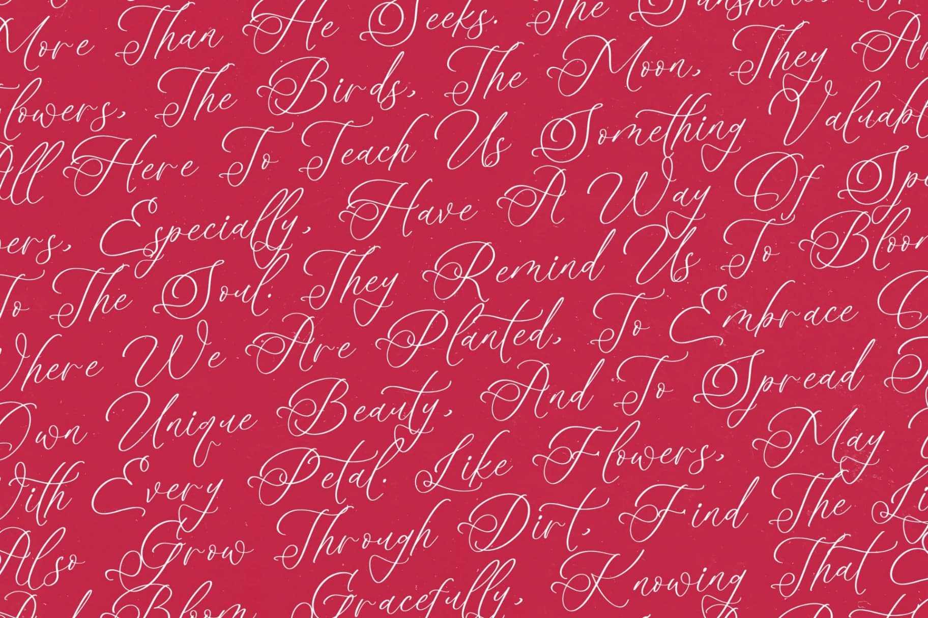 Preview 8 for Beladin Skintics – Modern Calligraphy Script