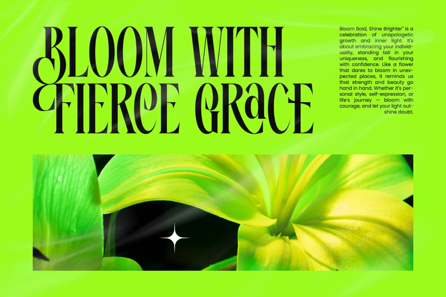 Preview 11 for Ehkofa - Modern Serif Font