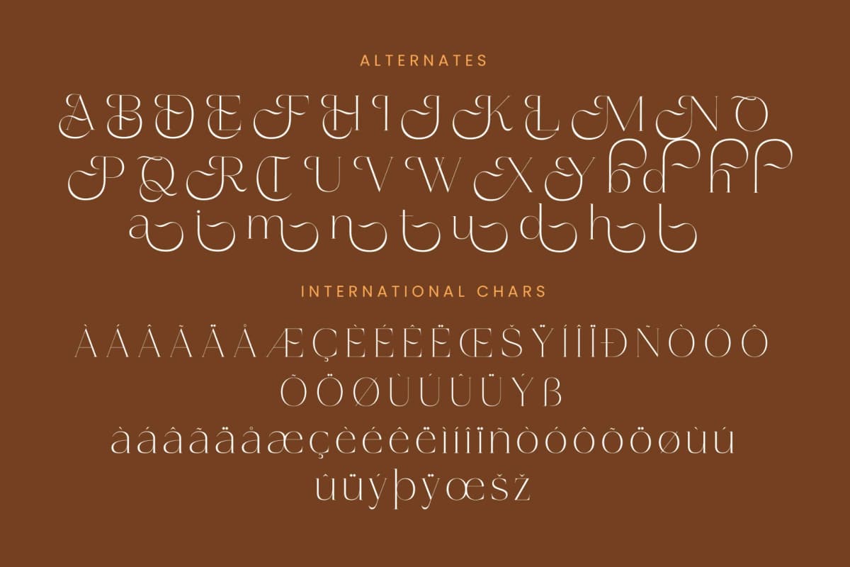 Amethys Mistralit – Modern Display Serif font preview 14